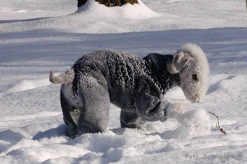 Quincy 2009-01-05 (6).JPG